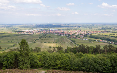 Naklejka premium Pfälzerwald413