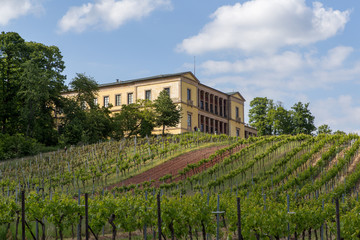 Fototapeta na wymiar Villa Ludwigshöhe 424
