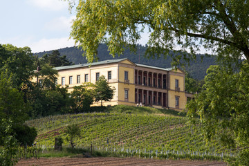 Villa Ludwigshöhe 427