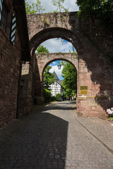 Fototapeta na wymiar Burg Nideggen, Eifel