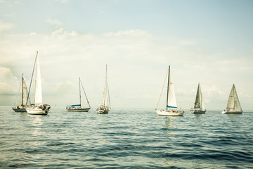 Fototapeta premium Sailboats