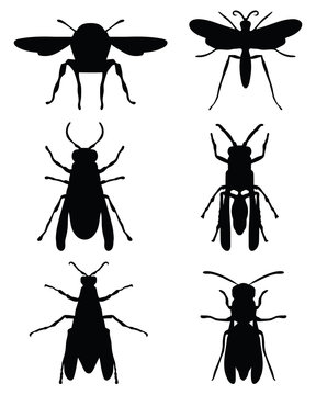 Black silhouettes of wasps, vector