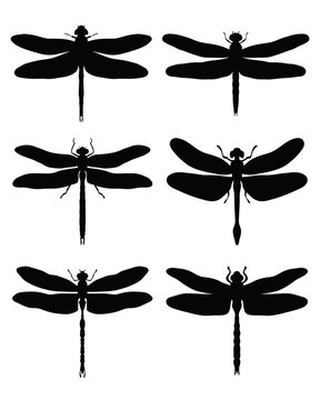 Black silhouettes of dragonflies, vector