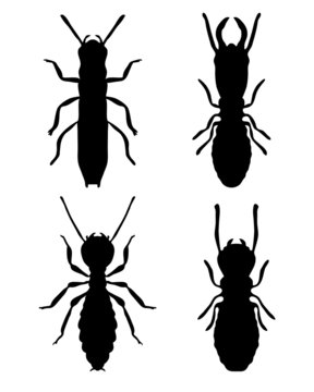 Black silhouettes of termites, vector