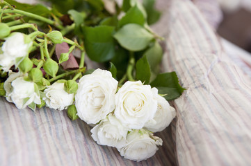 branch of roses