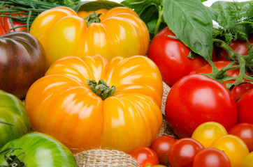 Fototapeta na wymiar Different varieties of tomatoes