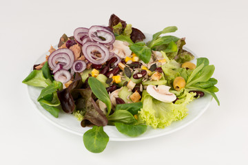 Gemischter Feldsalat