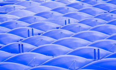 roof built with plastic bubbles