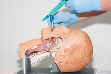 przekrój - intubacja 7