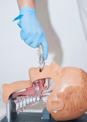 przekrój - intubacja 6 - obrazy, fototapety, plakaty