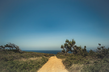 yelloy road to the sea coast.