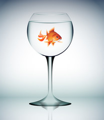 vetro, acqua, bicchiere