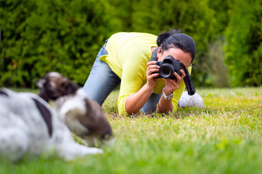 Young photographer taking a photo of playing dogs