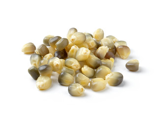 corn isolated on white background