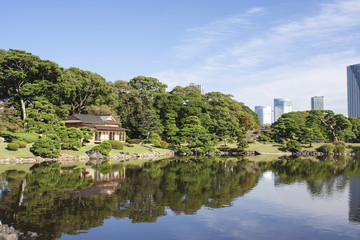 Fototapeta na wymiar 日本庭園　東京