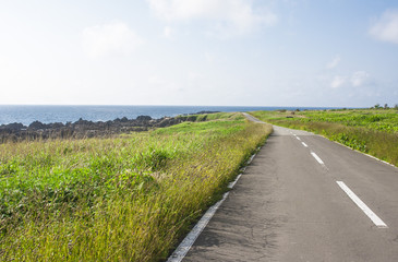海への道　秋田