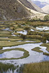 Laguna en el bosque de Vilca