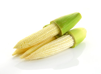 Baby corn cobs isolated on white background