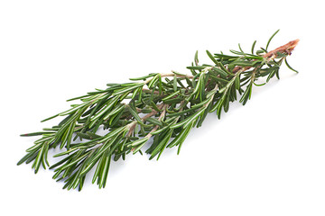 Rosemary herb closeup