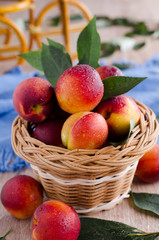 nectarines