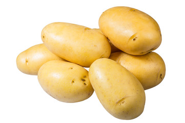 White potatoes fresh picked isolated