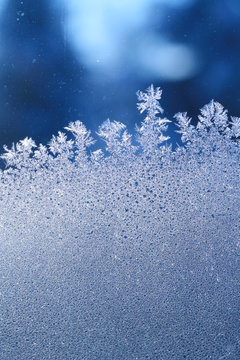 schneeblumen an scheibe