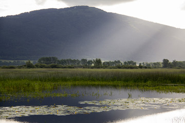 Cerknica Lake