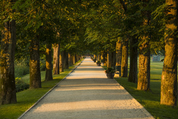 Path in a park