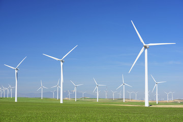 Fototapeta premium Wind energy
