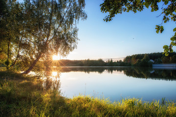 Fototapeta na wymiar Summer landscape with lake and tree.
