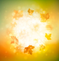 Autumn Background - 68403725