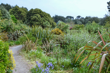 Garten auf St. Mary's
