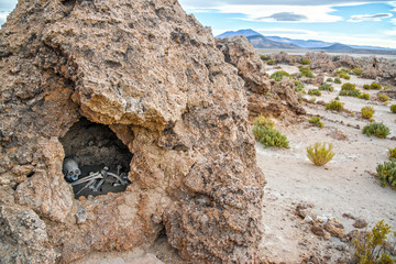 Human Remains in Bolivia