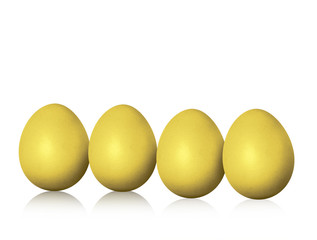 fresh eggs