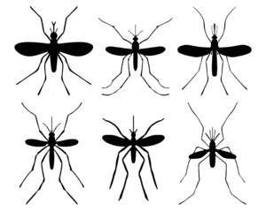 Black silhouettes of mosquito, vector