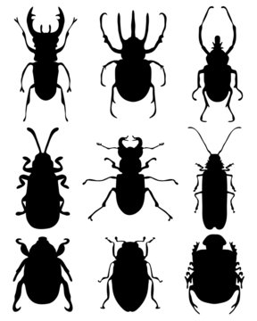 Black silhouettes of bugs, vector