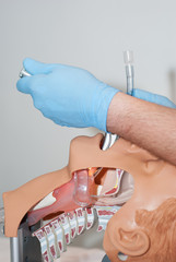 przekrój - intubacja 5