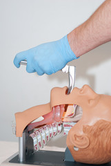przekrój - intubacja 2