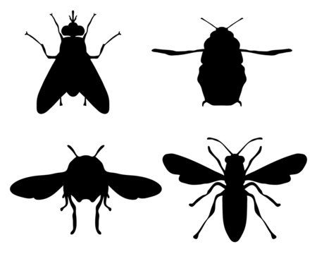 Black silhouettes of bees, vector