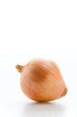 Onion isolated on white