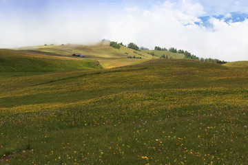 Fototapeta premium Alpe di Siusi