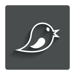Social media icon. Short messages twitter symbol.