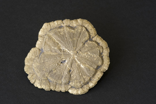 Pyrite sun from the USA. 8.5cm across.
