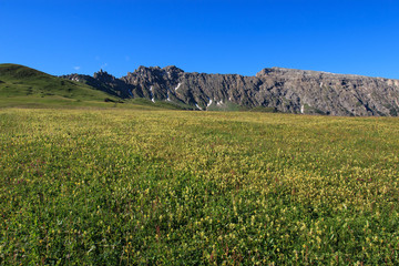 Alpe di Siusi