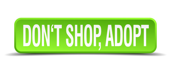 dont shop adopt green 3d realistic square isolated button