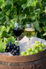 Red and white wine with grapes in nature