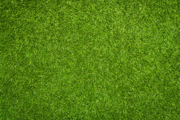 Artificial grass texture - Powered by Adobe