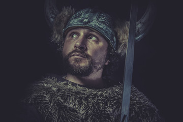 Leadership, Costume, Viking warrior with a huge sword and helmet