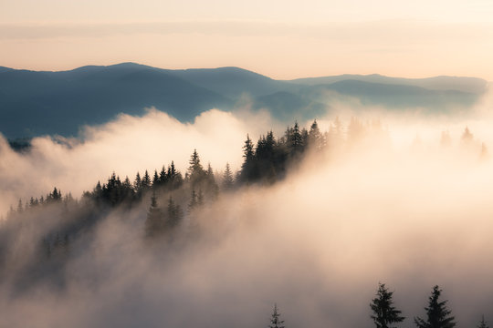 Foggy mountain morning © Nickolay Khoroshkov