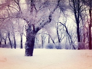 Retro style photo of snowy trees at the park